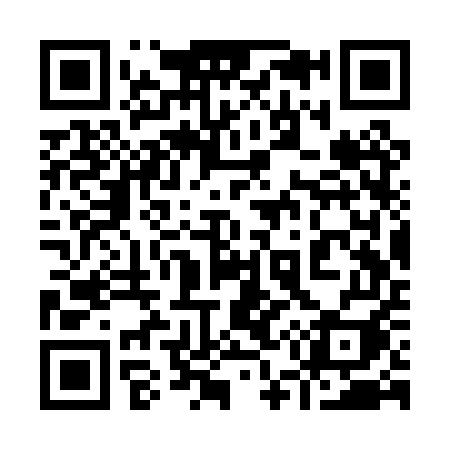 QR code for 953PUI