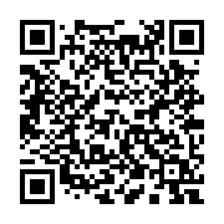 QR code for 953PYT