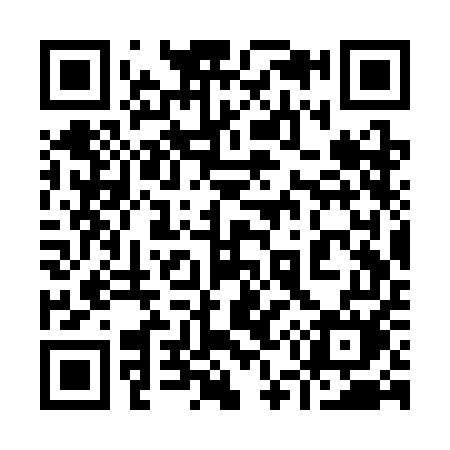 QR code for 953SEM