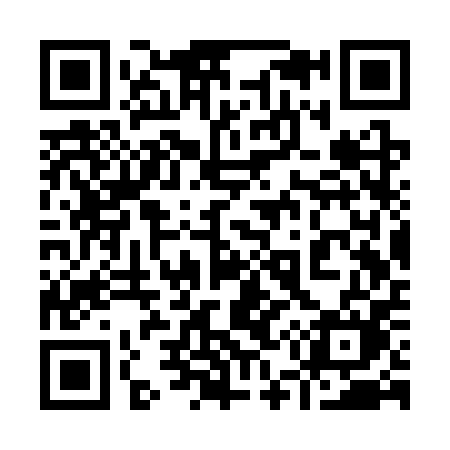 QR code for 953SPM