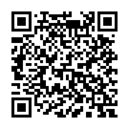 QR code for 955DWG