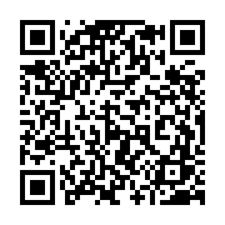 QR code for 955IFS