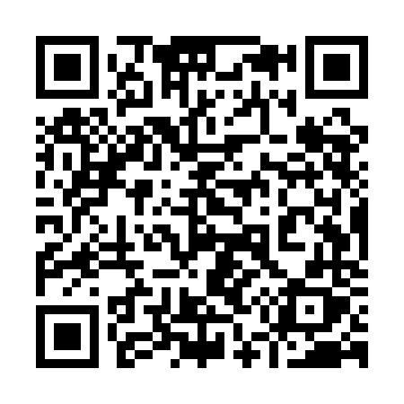 QR code for 955QNX
