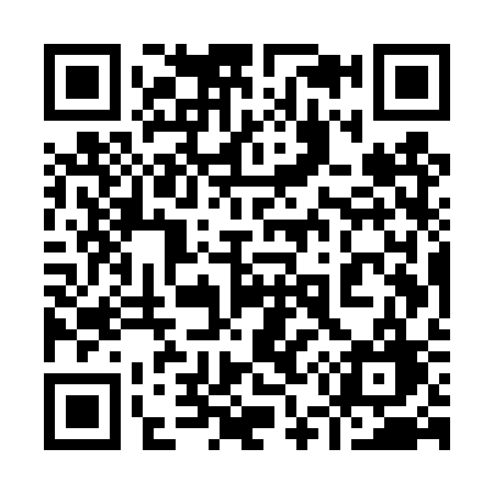 QR code for 955TSG