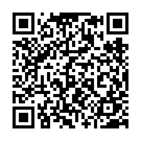 QR code for 955VIT