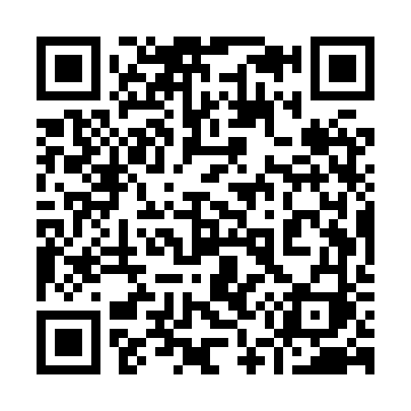 QR code for 955XVI