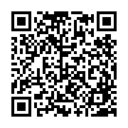 QR code for 959DDD