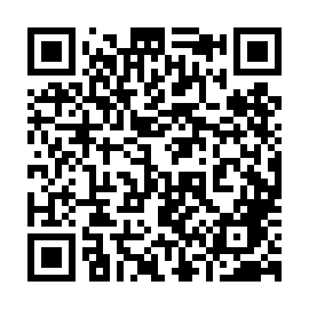 QR code for 960DLG