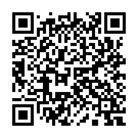 QR code for 960IPY
