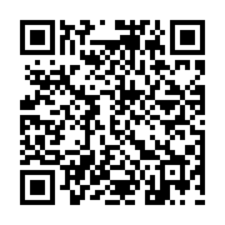 QR code for 966PAX