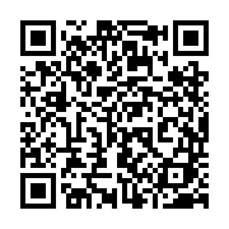 QR code for 968SDI