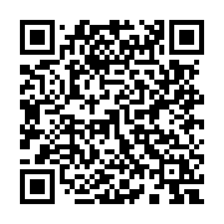 QR code for 971MUX