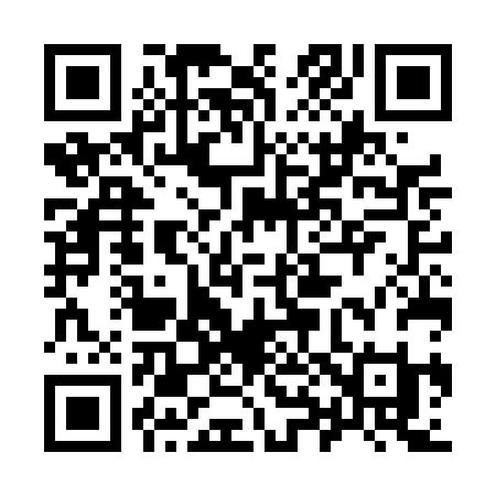 QR code for 987DBI