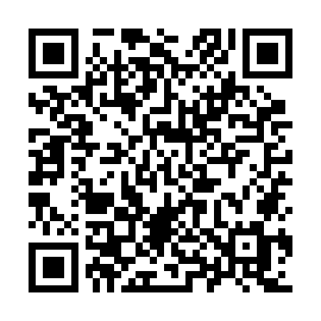 QR code for 989ROM