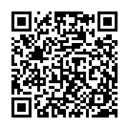 QR code for 990EVO