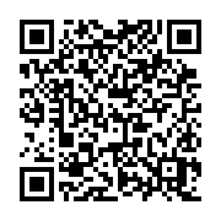 QR code for 991CIT