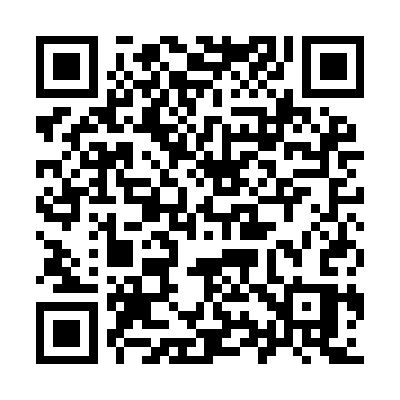 QR code for 991ICS