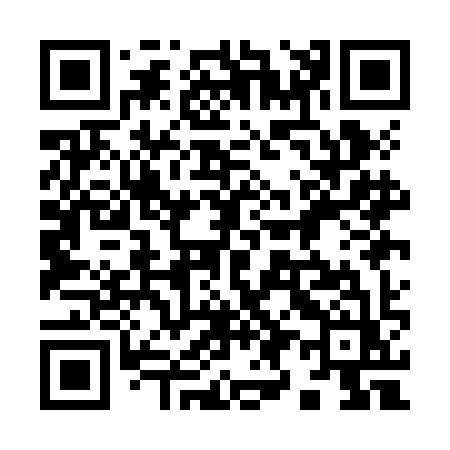 QR code for 991JIZ