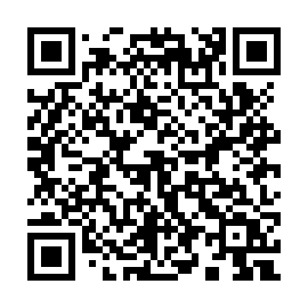 QR code for 991JZT