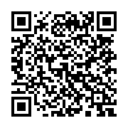 QR code for 991LTH