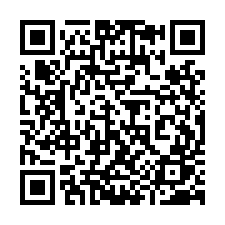 QR code for 991LUR