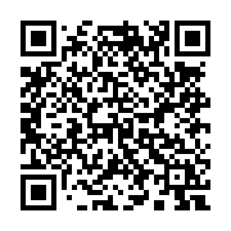 QR code for 991LUX
