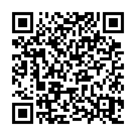 QR code for 991SKU
