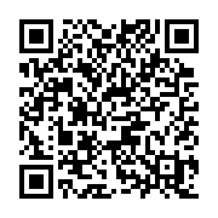 QR code for 991SPI