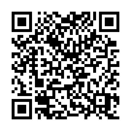 QR code for 991SPT