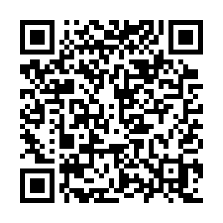 QR code for 991SQI