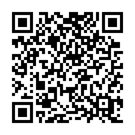 QR code for 991SSG