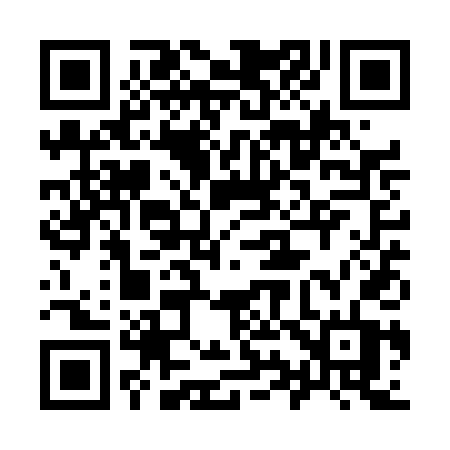 QR code for 991TDT