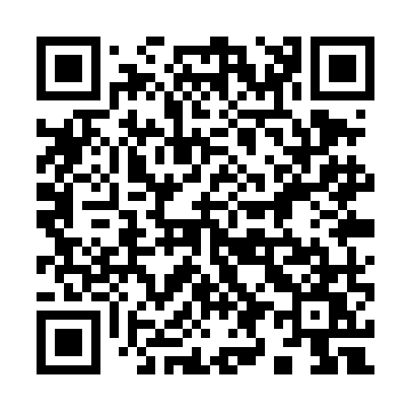 QR code for 991TMW