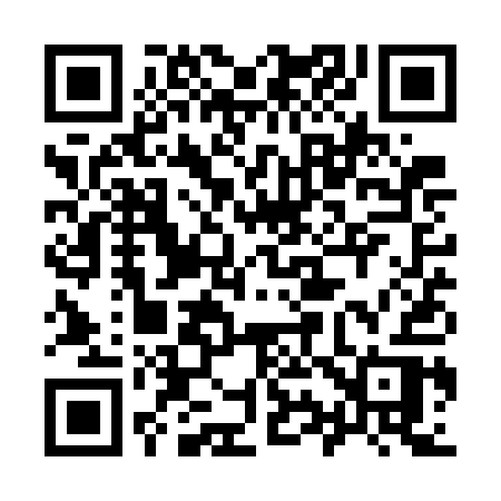 QR code for 991WAR