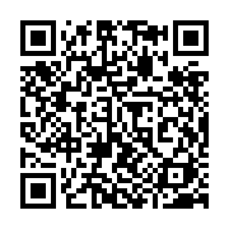 QR code for 991ZBI