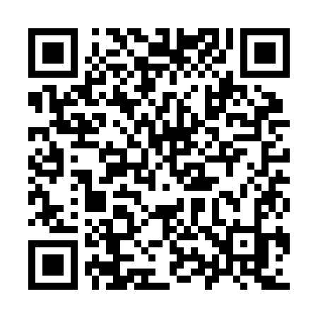 QR code for 991ZKK