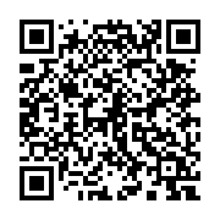 QR code for 993DXT