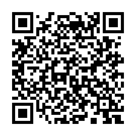 QR code for 993EFI