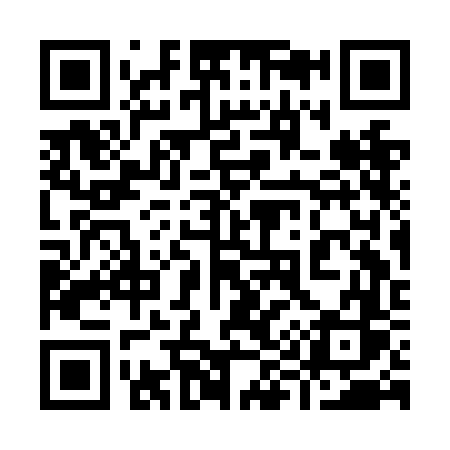 QR code for 993NFS