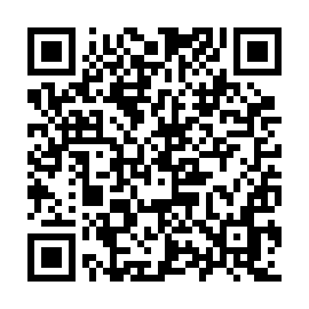 QR code for 993RIN