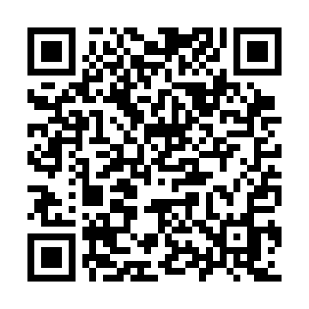 QR code for 993SAO