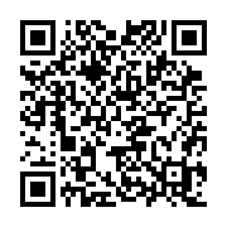 QR code for 993SGI
