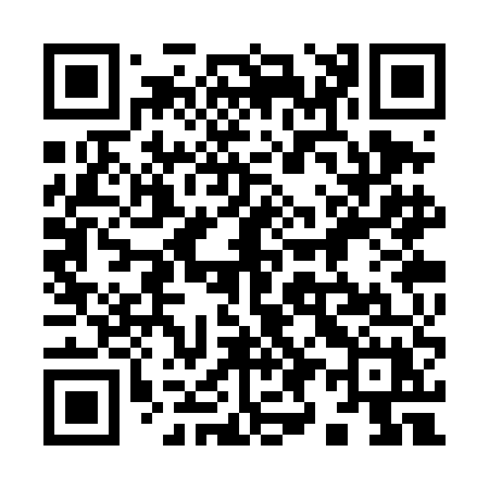 QR code for 993TEX