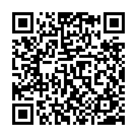 QR code for 993ZBT