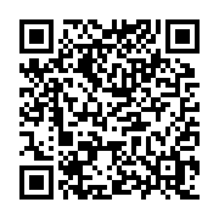 QR code for 993ZQL