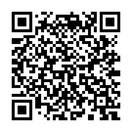 QR code for 995ZEN