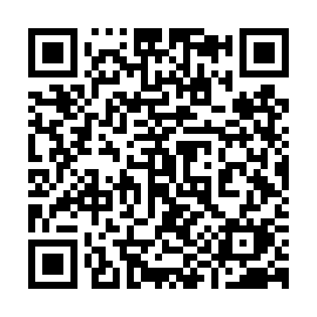 QR code for 996DSM