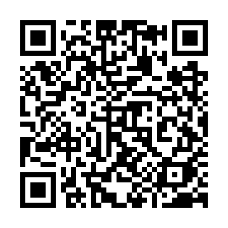 QR code for 996GUI