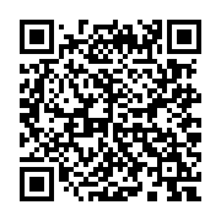 QR code for 996MEM