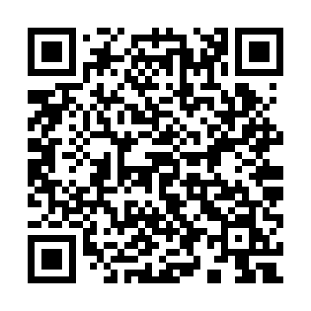 QR code for 996RUN